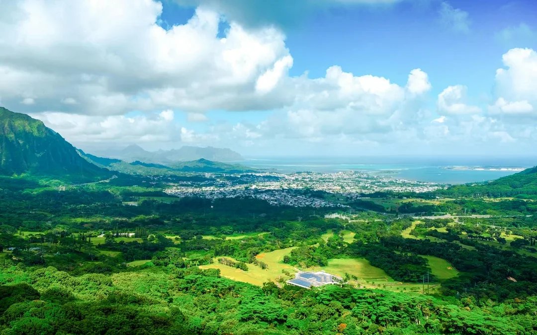 Combo: Pearl Harbor Tickets & Grand Circle Island Oahu Tour Image 2