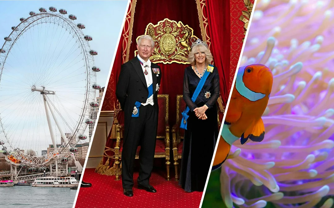 Combo (Save 43%): London Eye + Madame Tussauds London + SEA LIFE London Aquarium Tickets Image 1