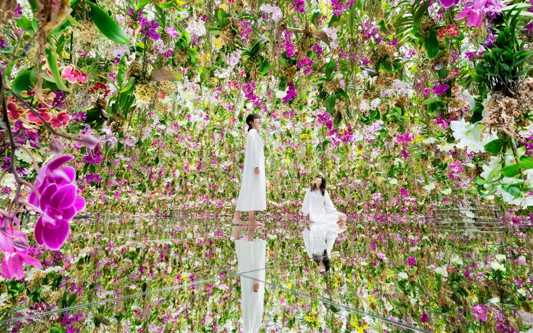 Combo (Save 7.5%): teamLab Planets TOKYO + Tokyo Tower Main Deck Tickets Image 6