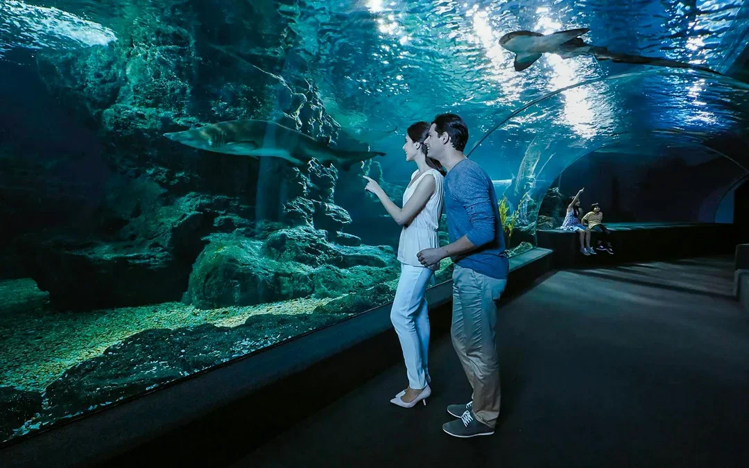 Combo: SEA LIFE Bangkok + Madame Tussauds Bangkok Tickets Image 7