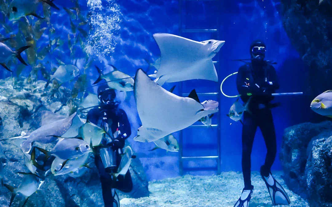 Combo: SEA LIFE Bangkok + Madame Tussauds Bangkok Tickets Image 9