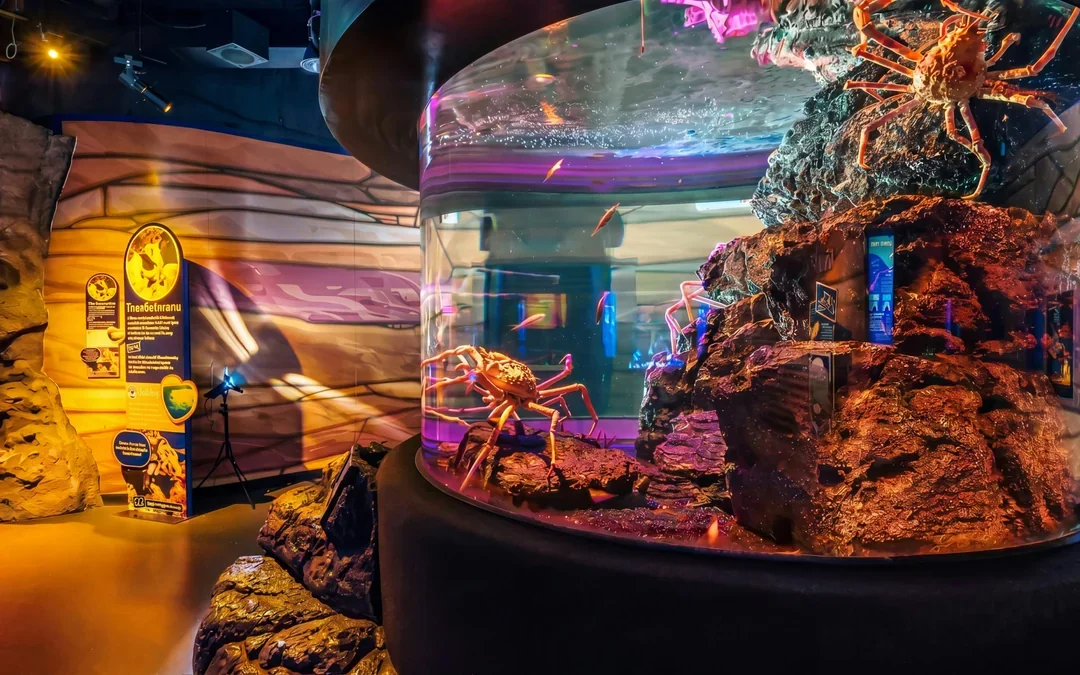 Combo: SEA LIFE Bangkok + Madame Tussauds Bangkok Tickets Image 10