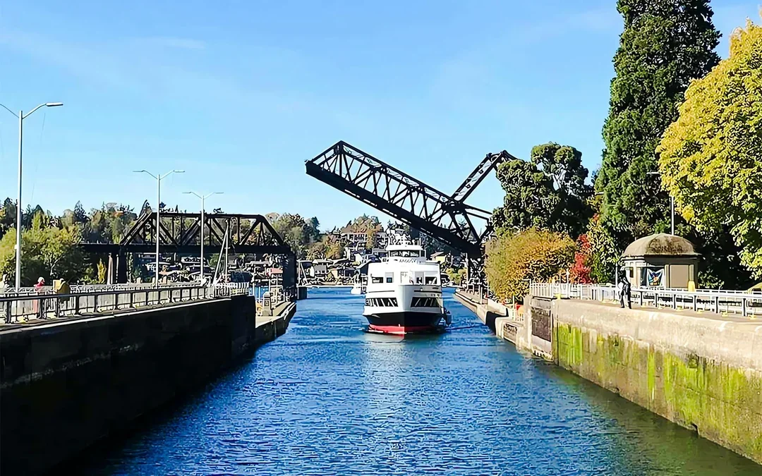Combo: Seattle Hop-on Hop-off Bus Tour + Harbour Cruise Image 7