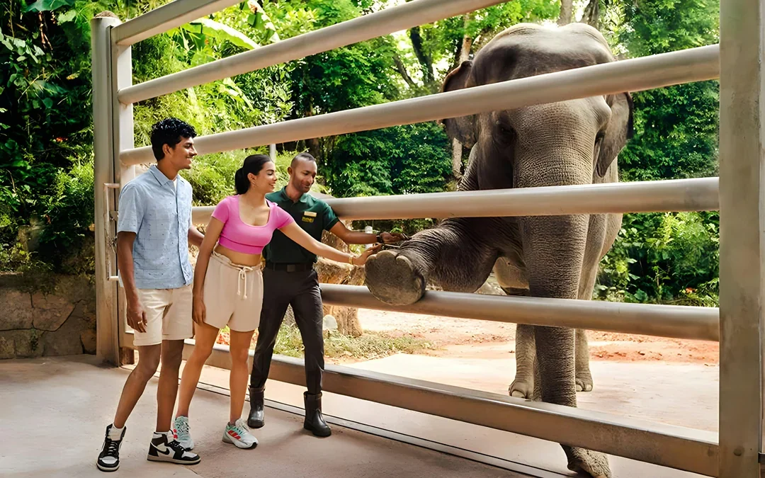 Combo: Singapore Zoo + Exploria Tickets 
 Image 3