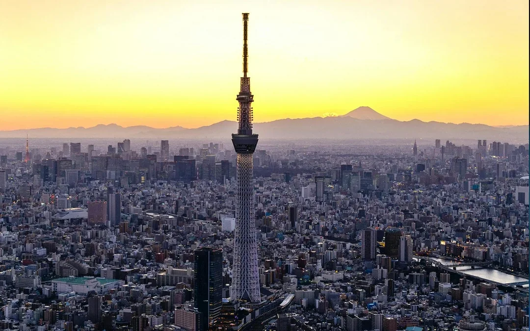 Combo: teamLab Planets Tokyo + Tokyo Observation Decks Tickets Image 4