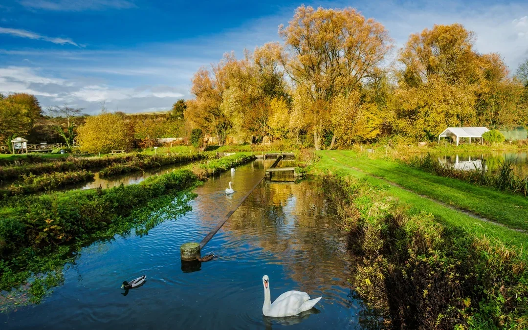 Cotswolds Guided Tour with Optional Lunch at a Historic Inn Image 5