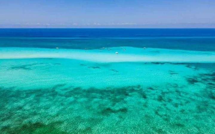 Cozumel El Cielo Starfish Sanctuary and Reefs Snorkel Tour with Fresh Ceviche Image 2