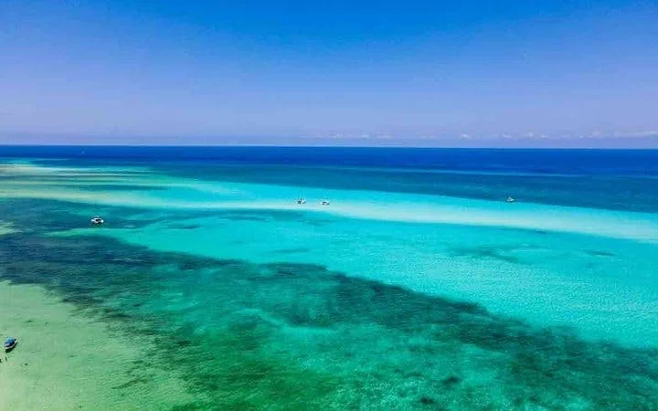 Cozumel El Cielo Starfish Sanctuary and Reefs Snorkel Tour with Fresh Ceviche Image 3