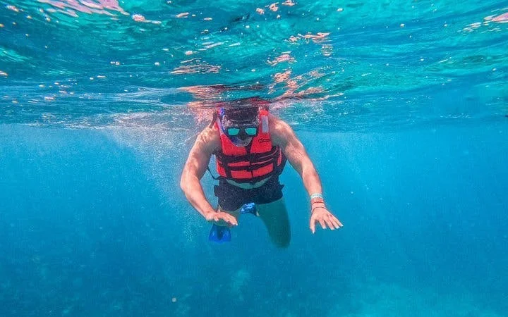 Cozumel El Cielo Starfish Sanctuary and Reefs Snorkel Tour with Fresh Ceviche Image 5