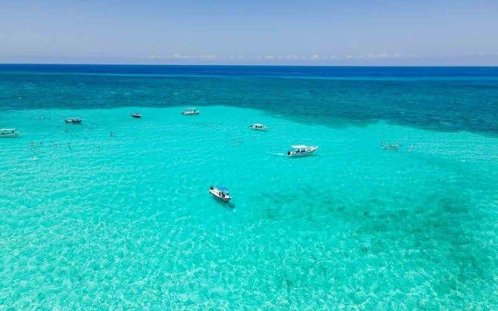 Cozumel El Cielo Starfish Sanctuary and Reefs Snorkel Tour with Fresh Ceviche Image 10