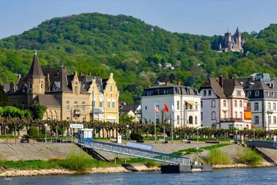 Cruise from Bonn Harbour to Königswinter with German live guide
