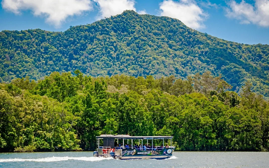Daintree River Guided Crocodile & Wildlife Experience Cruise Image 1