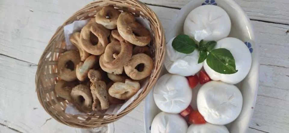 Dairy tour and cheese tasting in the Itria Valley