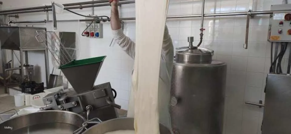 Dairy tour and cheese tasting in the Itria Valley