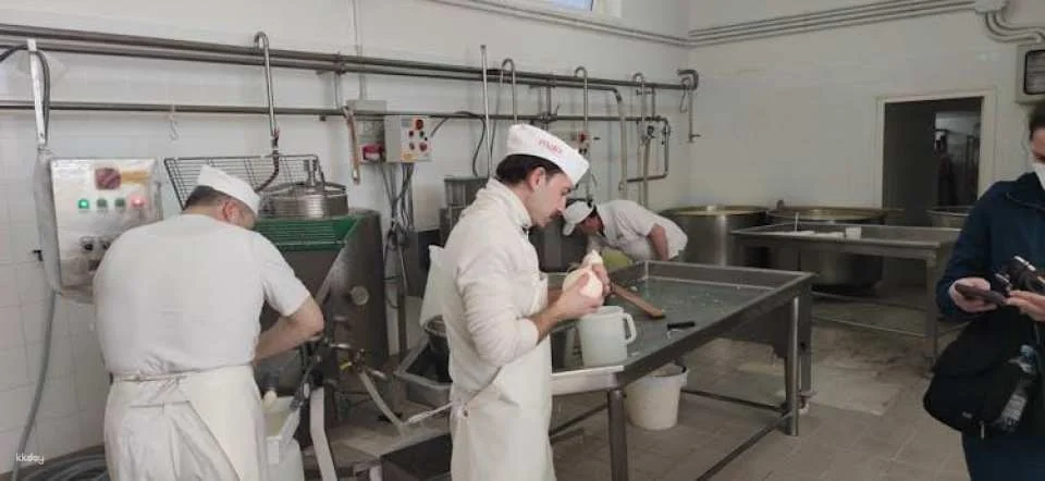 Dairy tour and cheese tasting in the Itria Valley