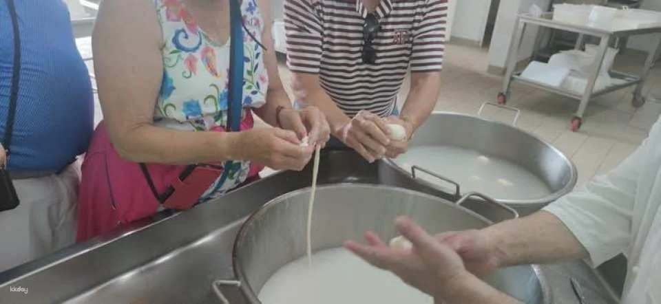Dairy tour and cheese tasting in the Itria Valley
