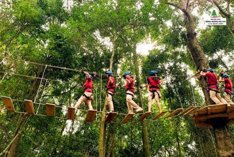 Dalat Elephant Mountain Pine Forest Ticket