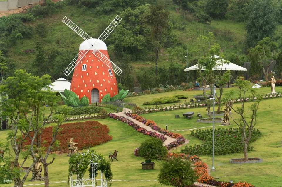 Dalat Elephant Mountain Pine Forest Ticket