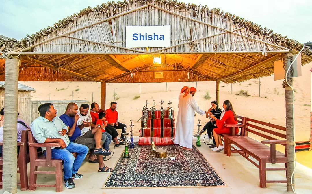 Desert Wonder: Evening Safari, Camel Farm Visit & BBQ Dinner Image 4