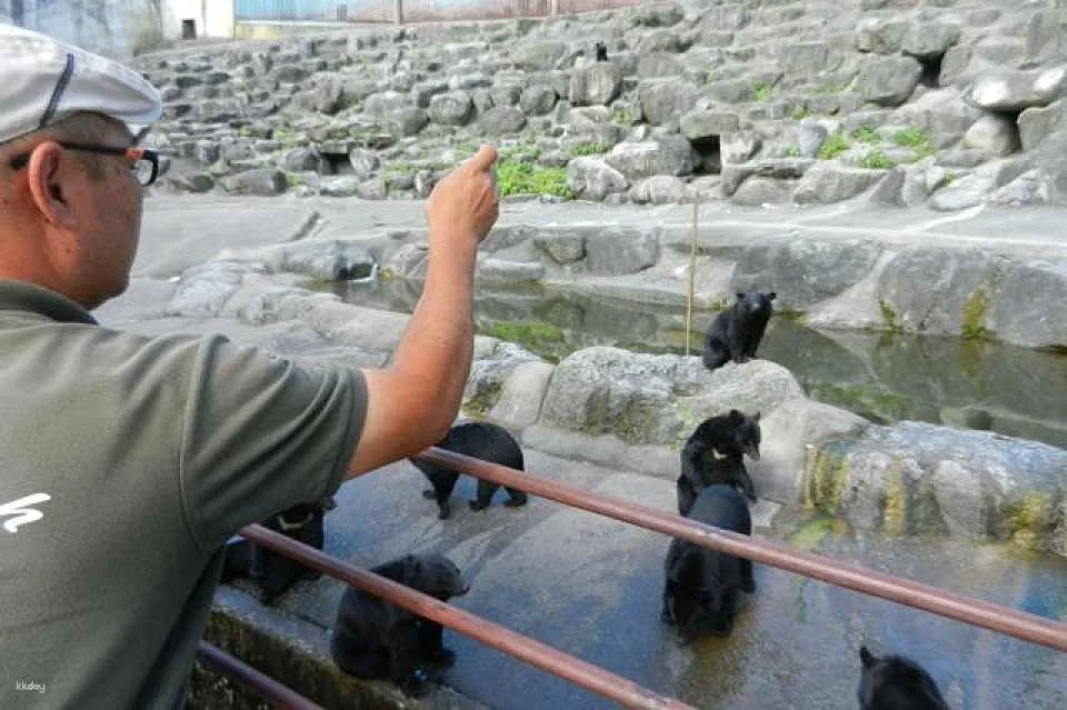 [Discounted rate] Okuhida Bear Ranch admission ticket + bear food bonus (Theme park, Takayama City, Gifu Prefecture)