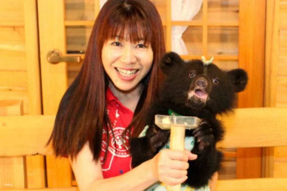 [Discounted rate] Okuhida Bear Ranch admission ticket + bear food bonus (Theme park, Takayama City, Gifu Prefecture)