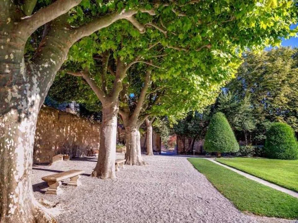 Discover Aix-en-Provence in 90 minutes with a local