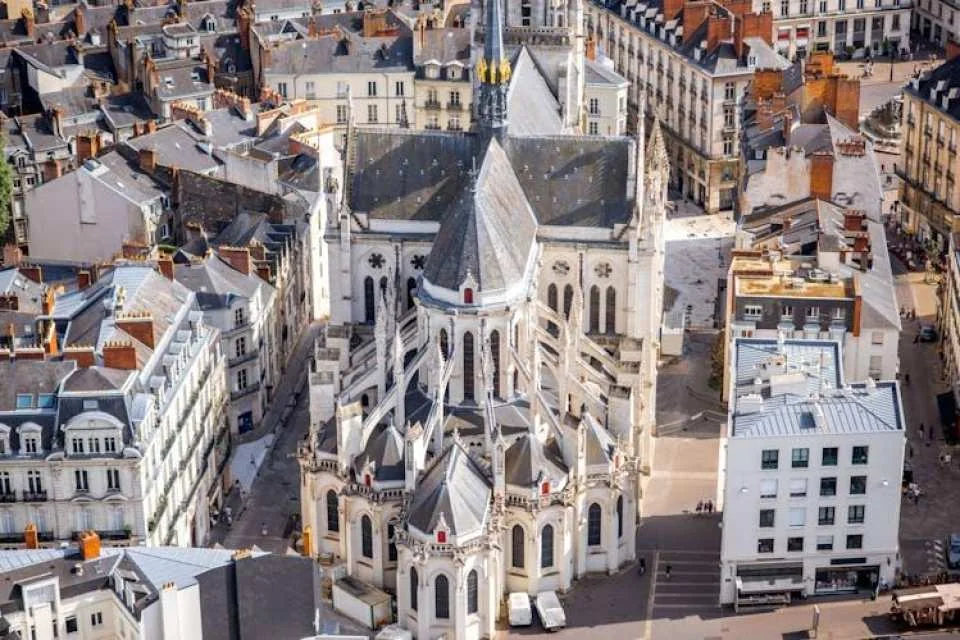 Discover Nantes in 60 minutes with a local