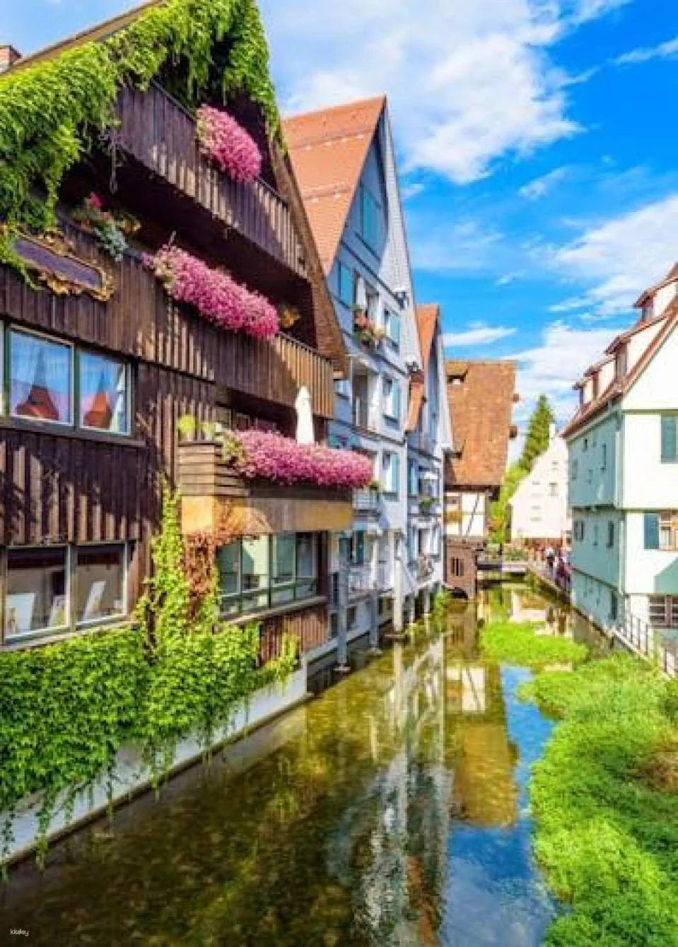 Discover Ulm in 1 hour with a local