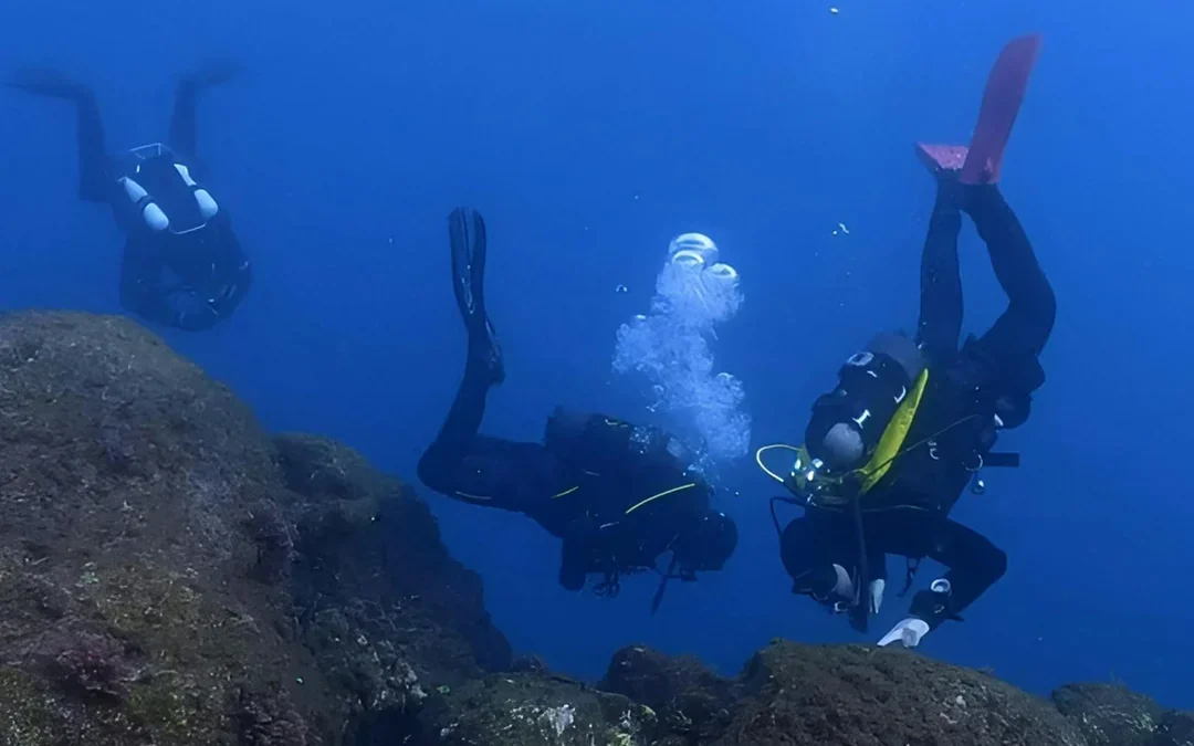 Diving for Certified Divers in Aci Castello Image 5