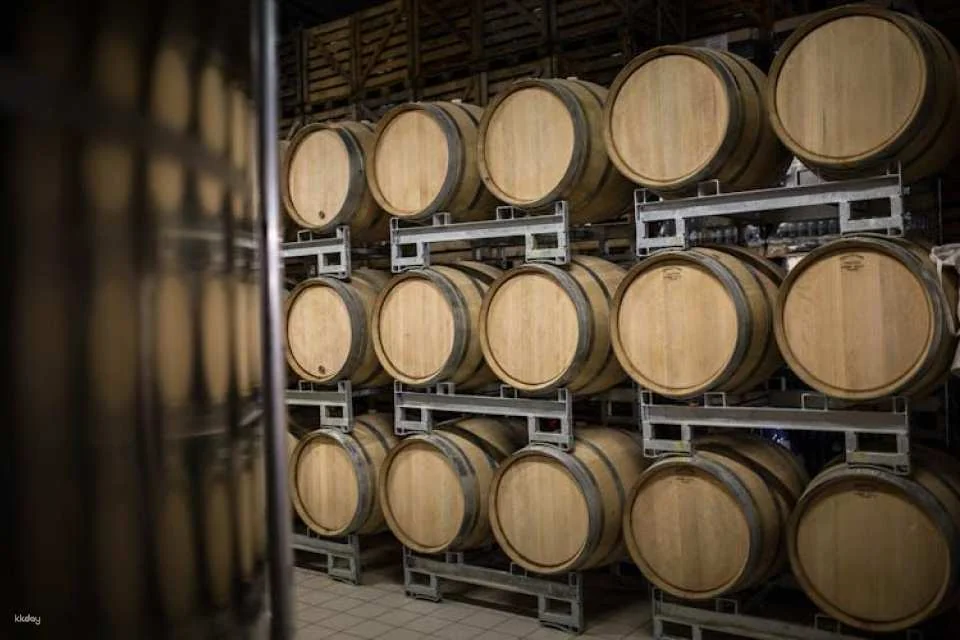 Dom Caudron Champagne House guided tour with tastings