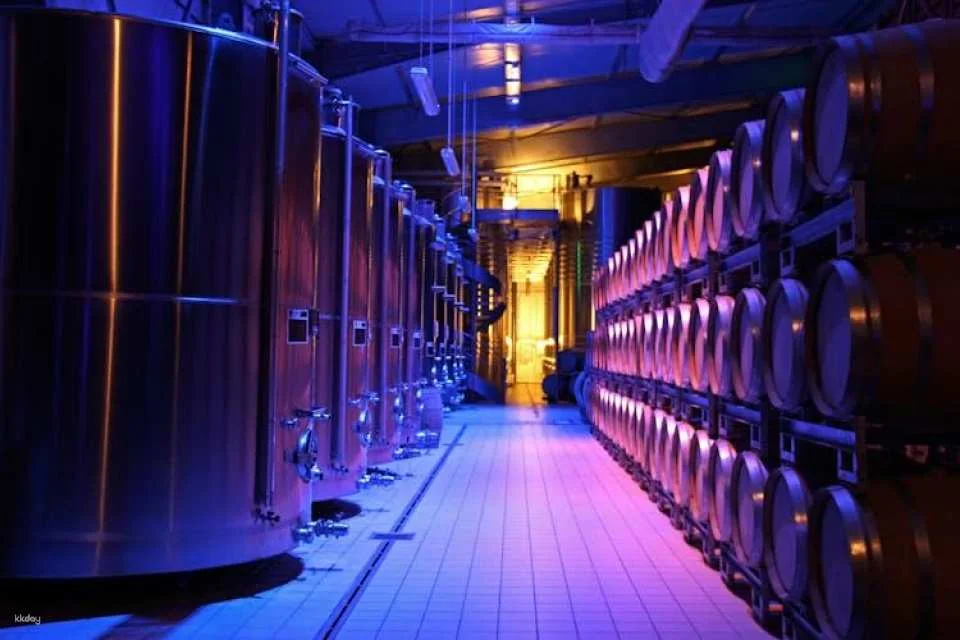 Dom Caudron Champagne House guided tour with tastings