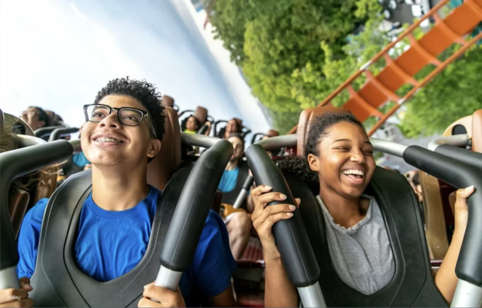 Dorney Park One Day Admission Ticket