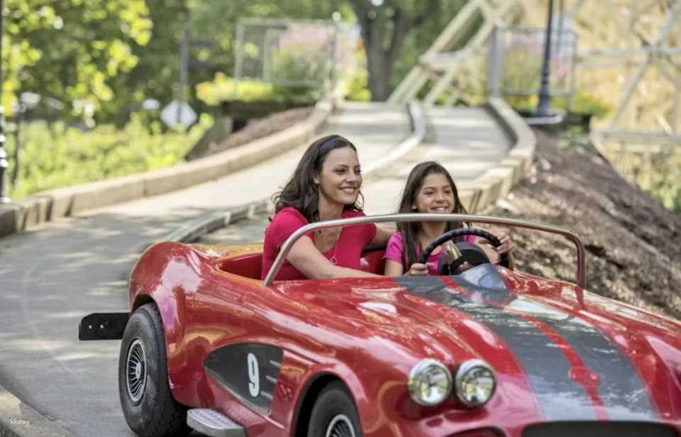Dorney Park One Day Admission Ticket