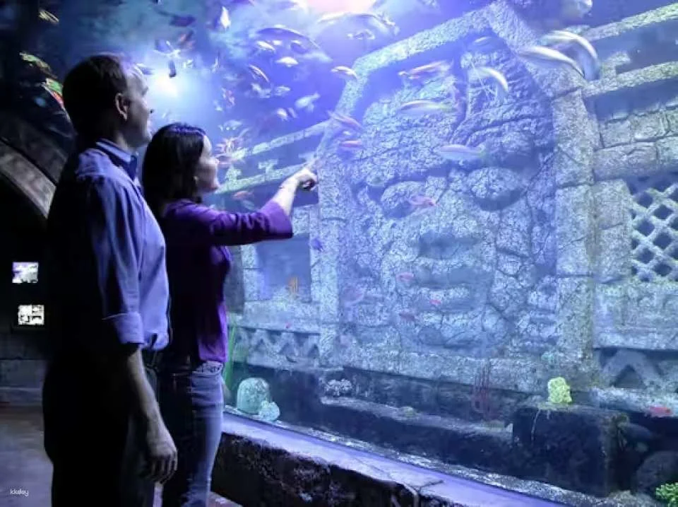 Downtown Aquarium Houston Ticket | Texas