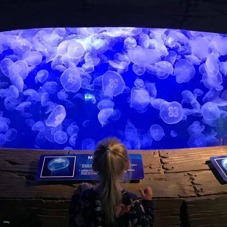 Downtown Aquarium Houston Ticket | Texas