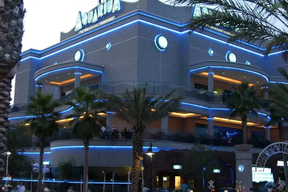 Downtown Aquarium Houston Ticket | Texas