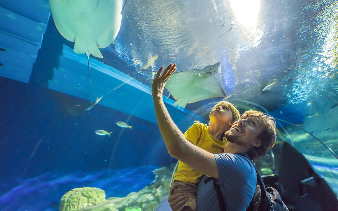 Dubai Aquarium & Underwater Zoo with Penguin Cove Tickets Image 12