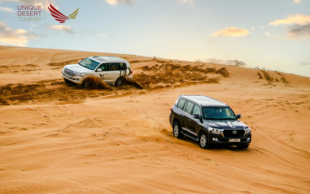 Dubai Private Morning Desert Safari with Sandboarding & Camel Ride Image 3