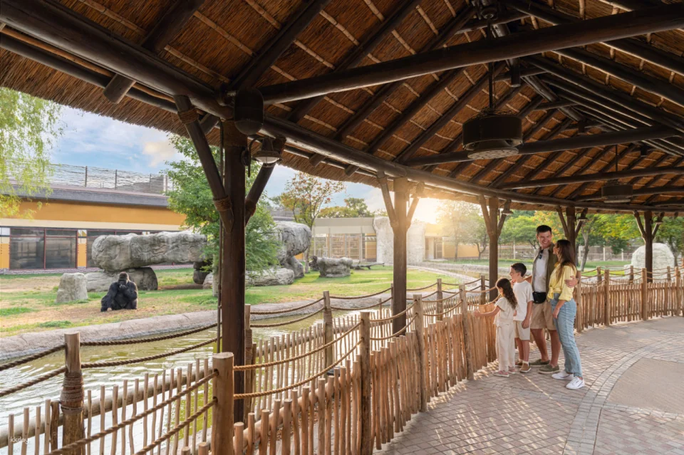 Dubai Safari Park Ticket