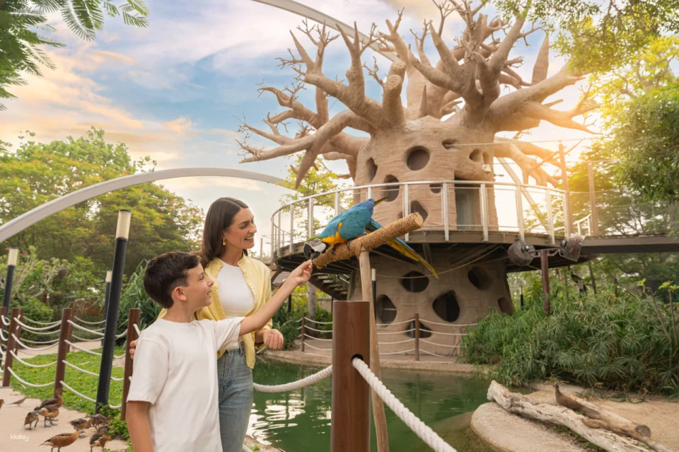 Dubai Safari Park Ticket