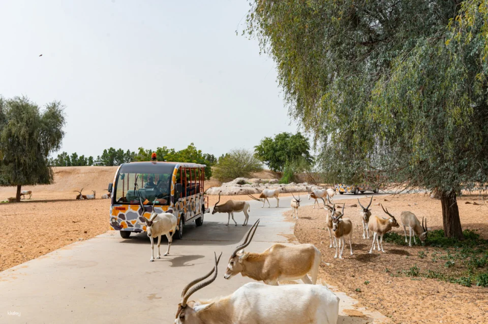 Dubai Safari Park Ticket