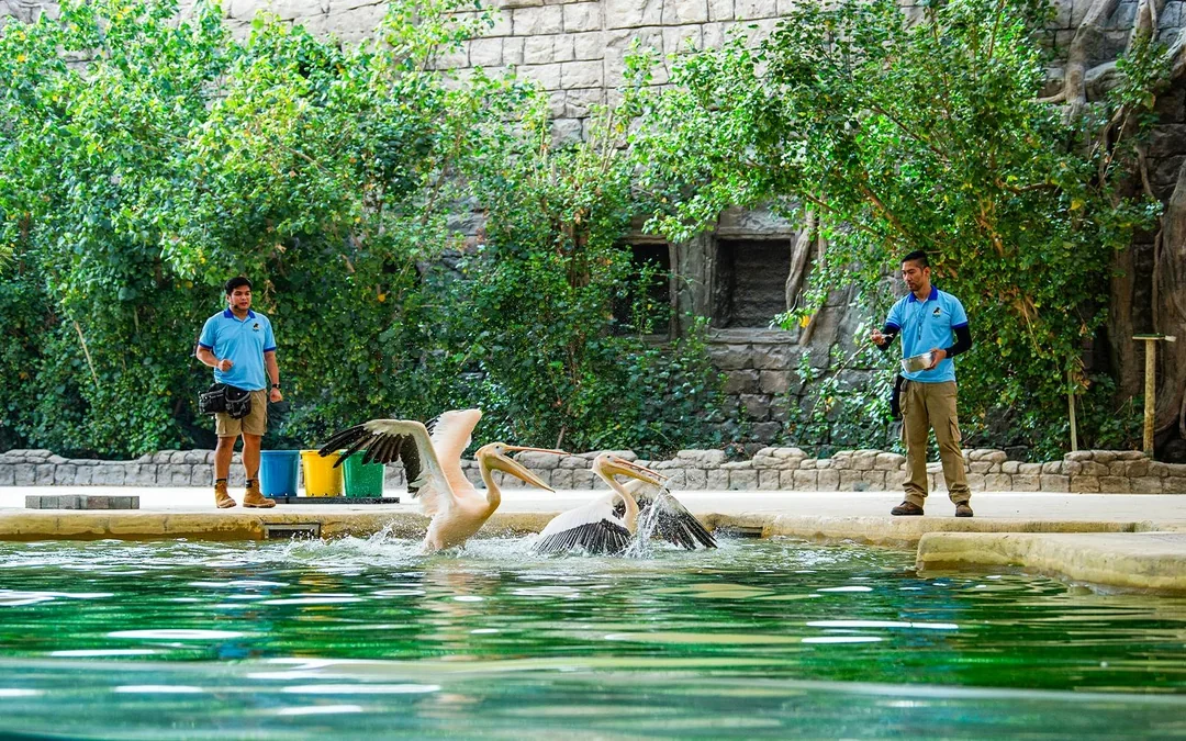 Dubai Safari Park Tickets  Image 3