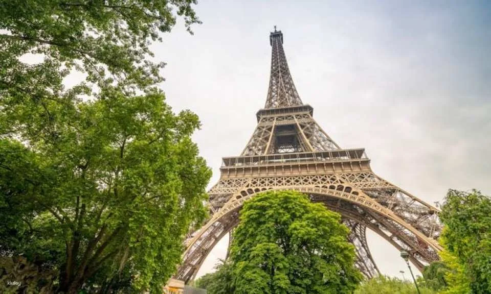 Eiffel Tower reserved elevator entrance to 2nd floor with walking tour and Seine cruise