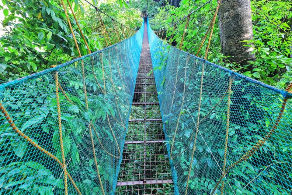 El Nido Via Ferrata Canopy Walk Ticket | Philippines