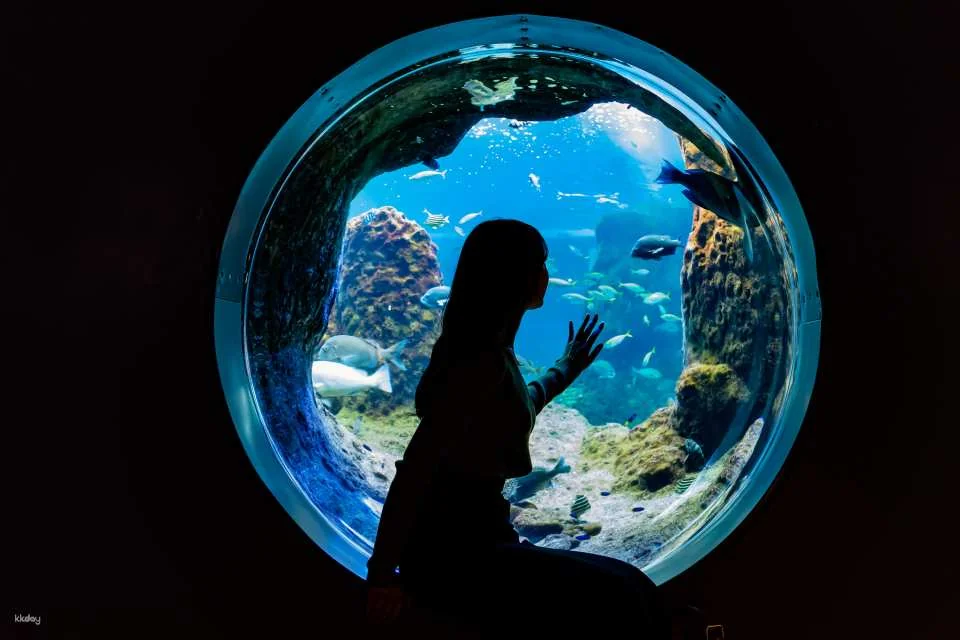 Enoshima Aquarium Admission Ticket (Fujisawa City, Kanagawa Prefecture)