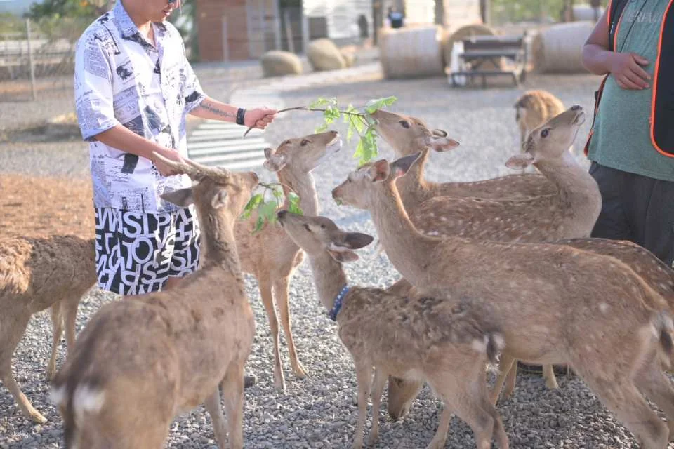 Entrance ticket to Kenting Big Wolf Ecological Education Park