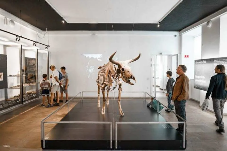 Entrance ticket to the National Museum of Denmark