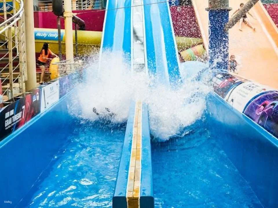 Entrance Ticket to Water World Aquapalace in Prague