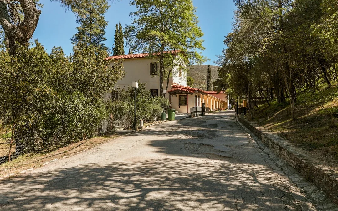 Epidaurus Archeological Site & Museum Tickets Image 8