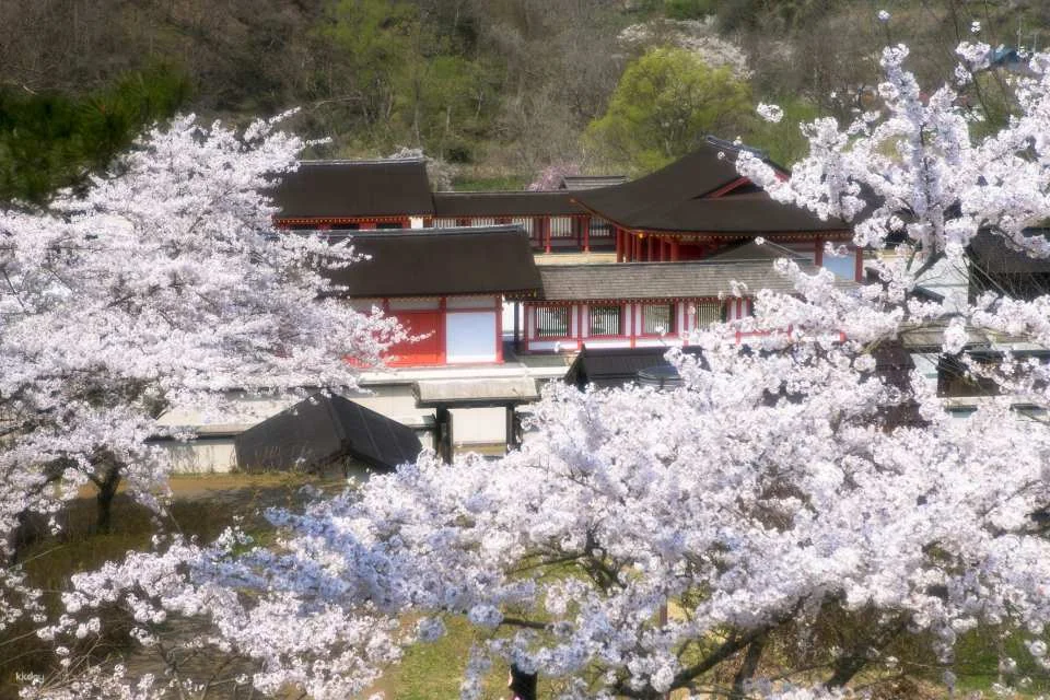 Esashi-Fujiwara Heritage Park Tickets in Iwate